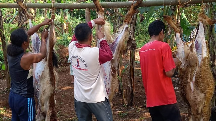 Istana Yatim At-Taslim kurban, Menyembelih tujuh nyawa kepala