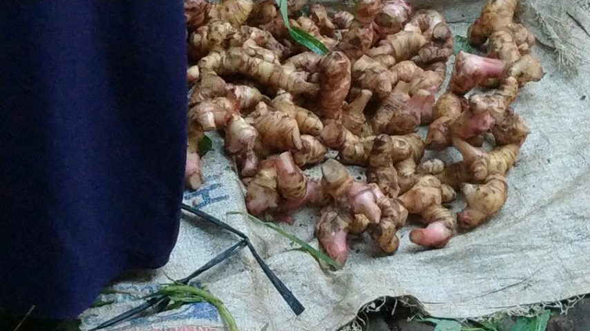 Kisah Mbah Suginem Binaan LKS-LU,Keluar Masuk Rumah Sakit Besar Hampir 2 tahun, Di stop dengan Kesemangatan dan Rempah.